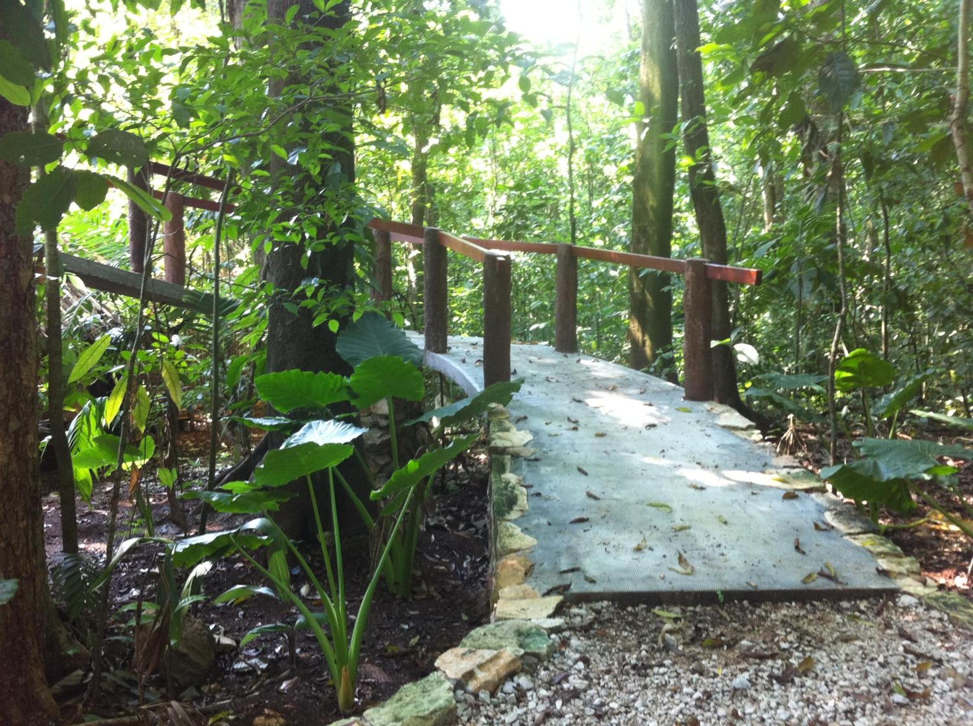 Finca Vallescondido El Caobano Екстер'єр фото