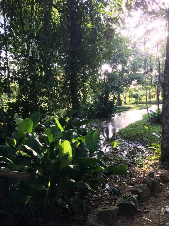 Finca Vallescondido El Caobano Екстер'єр фото
