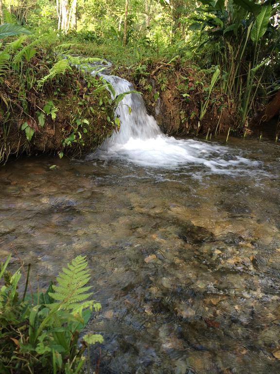 Finca Vallescondido El Caobano Екстер'єр фото
